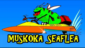 Muskoka Sea Flea