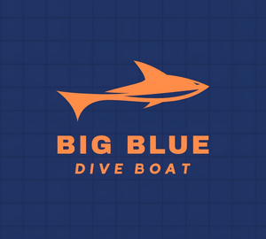 Big Blue Dive Boat