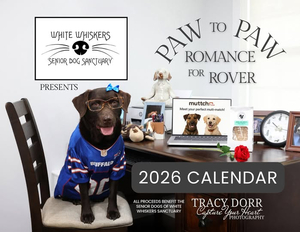 2026 White Whiskers Wall Calendar