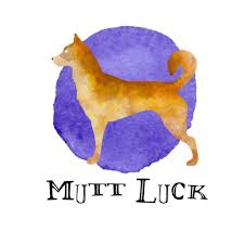 3 Weeks Board and Train at Mutt Luck