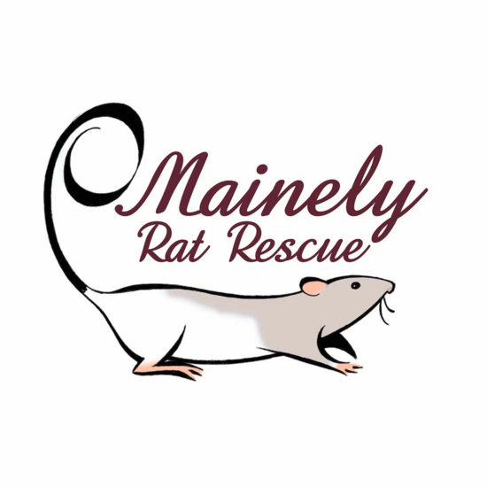 Mainely Rat Rescue