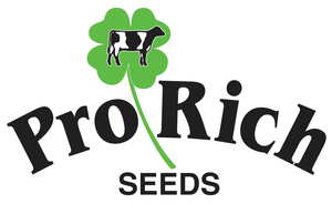 Pro Rich Seeds