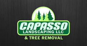 Capasso Landscaping and Tree Removal
