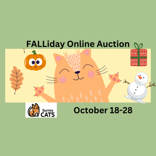 Surrey Community Cat  Foundation