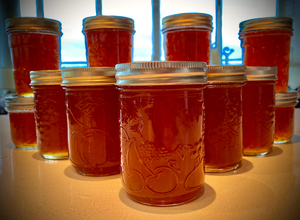 Scottish "penicillin" workshop