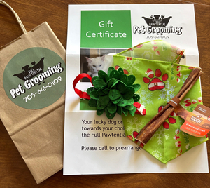 078 - Full Pawtential Pet Gift Bag