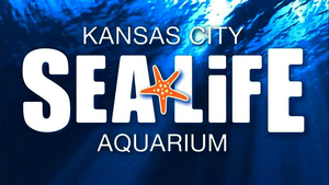 Sea Life Aquarium