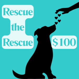 Rescue the Rescue - $100