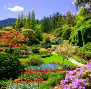 Garden Glow-Up: 12 Hours of Gardening