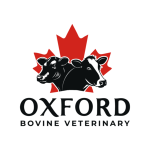 Oxford Bovine