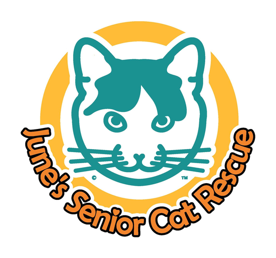 June's Senior Cat Rescue