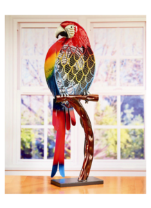 Macaw Fan