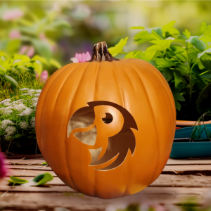 Carved Parrot Pumpkin