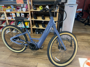 Momentum Vida E+ Bike