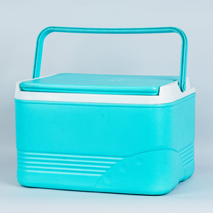 Amma's Cool Box Cello Teal