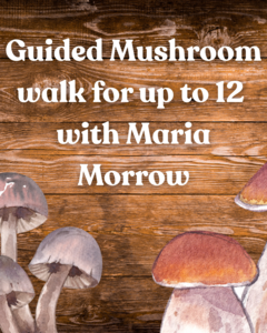 Guided Mushroom Walk