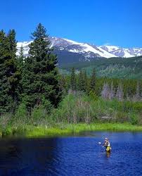 Private Guided Fly Fishing Trip in RM Nat'l Park!
