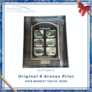 Original 6 Arena Print