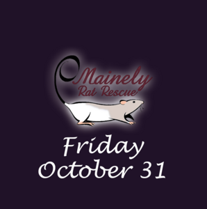 Z97 - AUCTION UPDATE: 10/31