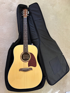 Acoustic Guitar