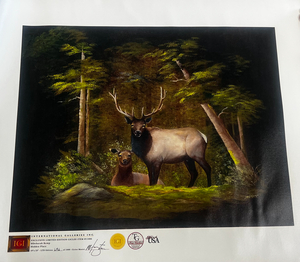 Elk in the Woods