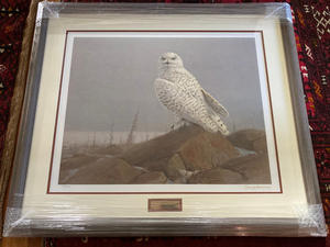 "Shoreline Snowy Owl" (33"W x 28.5"H)