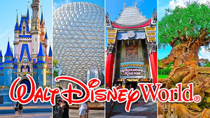 L018. Disney Vacation Package