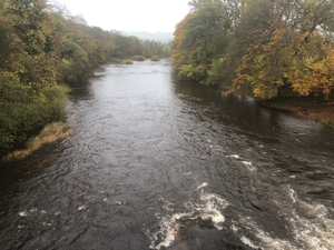 2 Days' Glanusk Tymawr 2 Rods Salmon/Trout Fishing