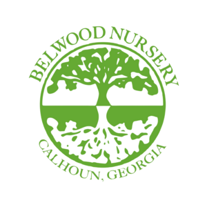 Belwood Nursery
