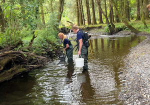 Electrofishing on The River Wye.