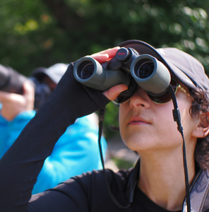 Bird Walk at Montrose Point