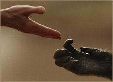 Hallofhumanorigins1 s300
