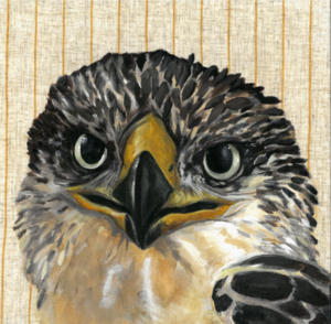 "Hank" 12" x 12" Original Paiting