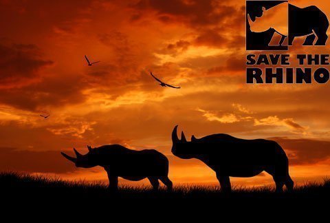 Save The Rhino International /SRT Namibia