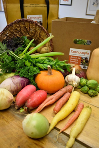 Thanksgiving CSA for your Neighbors in Need