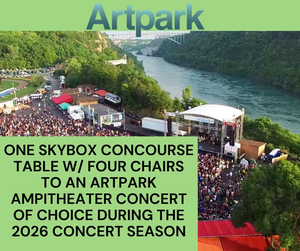 Skybox Experience at Artpark Amphitheatre