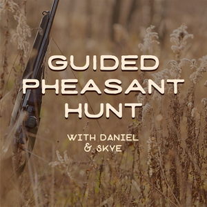 Guided Pheasant Hunt