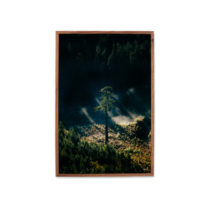 "LONG LIVE DOUG" Framed 16x24" Print