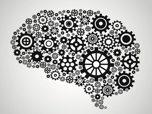 Brain anna s300