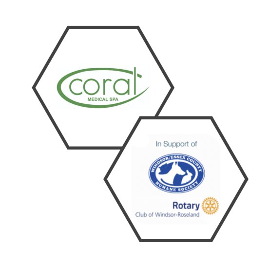 Coral Medical Health Spa