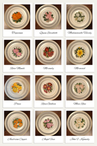 The 12 Rose Plates