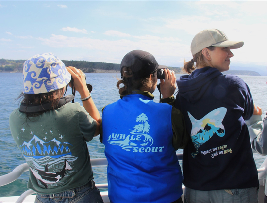 Whale Scout