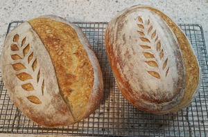 Homemade Sourdough Bread