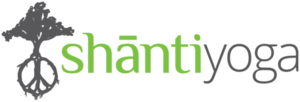 153. Shanti Yoga Gift Certificate - 10 Class Pass