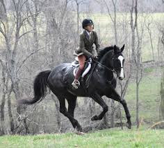 Grovespring Farm Fox Hunting Clinic w/ Susan Deal