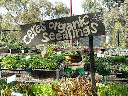 Ceres $50 Voucher