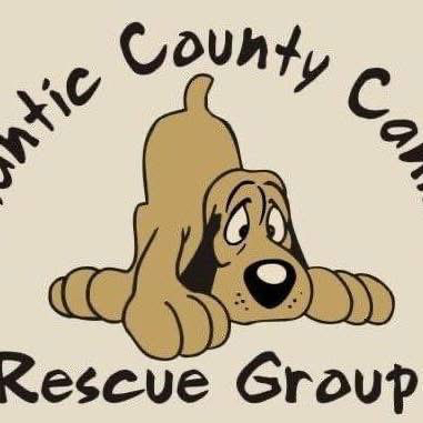 Atlantic County Canines a 501 c nonprofit