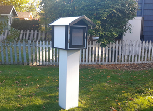 Little Free Library