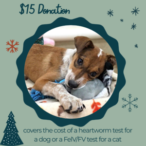 1 - $15 Donation to Northwoods Humane Society
