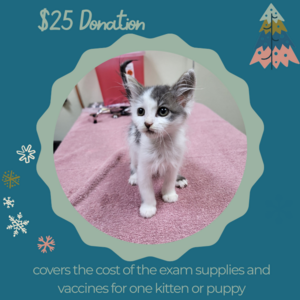 2 - $25 Donation to Northwoods Humane Society